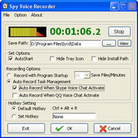 registratore spia skype