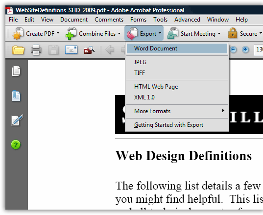 convert PDF to Word