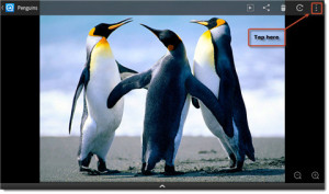 2-how-to-change-kindle-fire-wallpaper-choose-picture