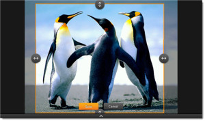 4-how-to-change-kindle-fire-wallpaper-adjust-size