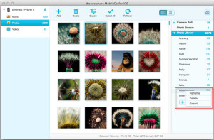 photo-album-export