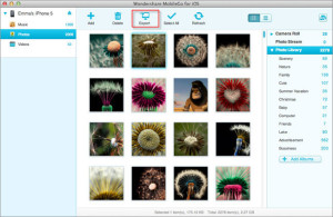 photo-export