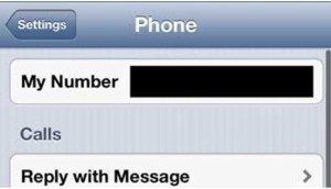 iphone-menu-2
