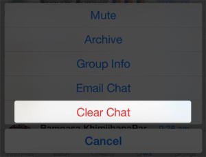 iPhone-whatsapp-tap-clear-chat