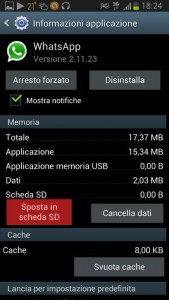 1458896727-8495-sapp-su-sd-memoria-esterna-2