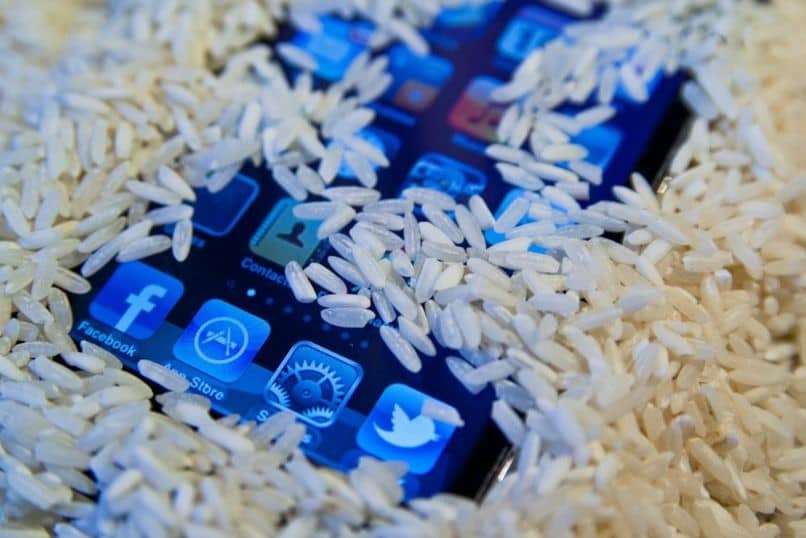 usa la cella a secco di riso bagnata