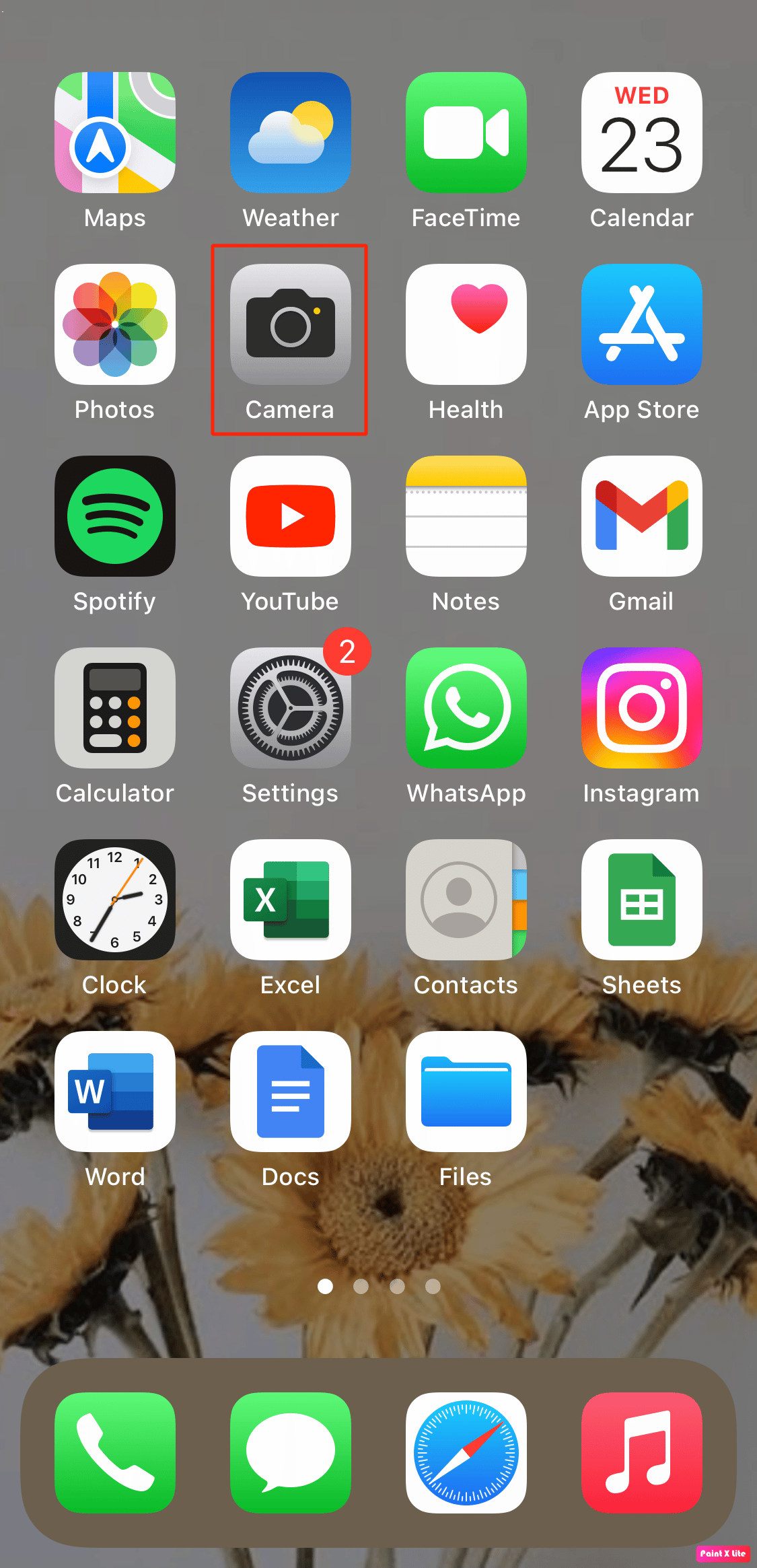 vai all'app della fotocamera. 12 modi per risolvere il problema con la torcia dell'iPhone che non funziona